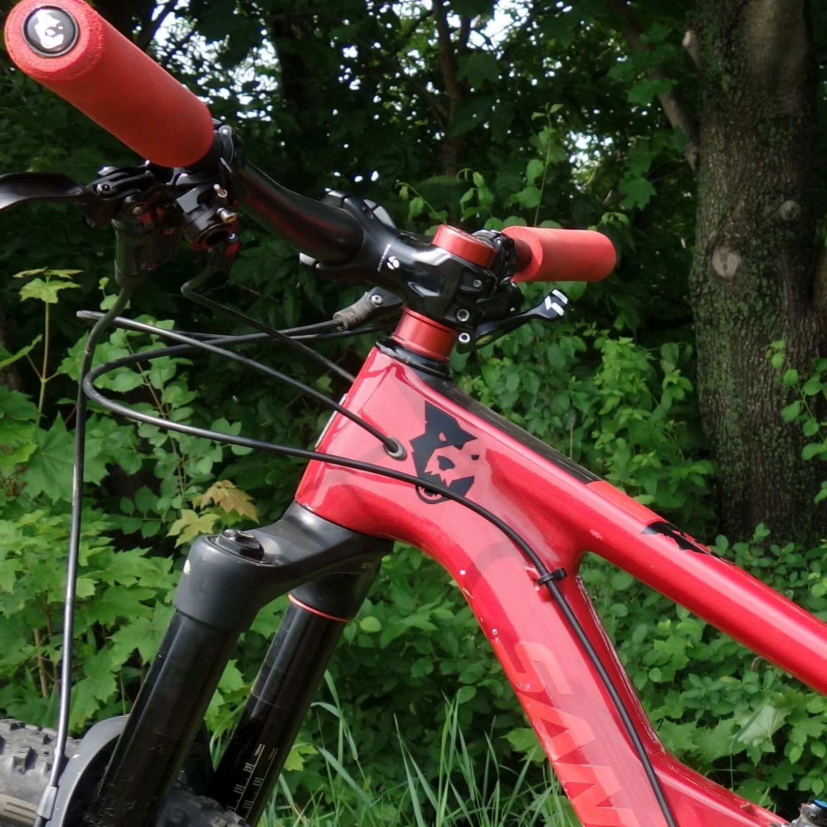 Wolf Tooth Decals - Image 5